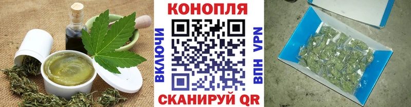 Cannafood конопля  blacksprut вход  Тбилисская 