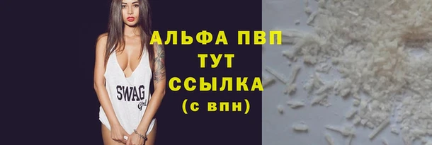 стаф Козловка