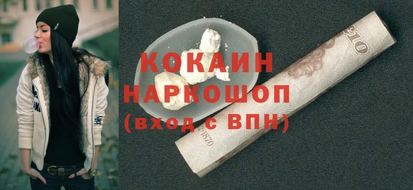 стаф Козловка