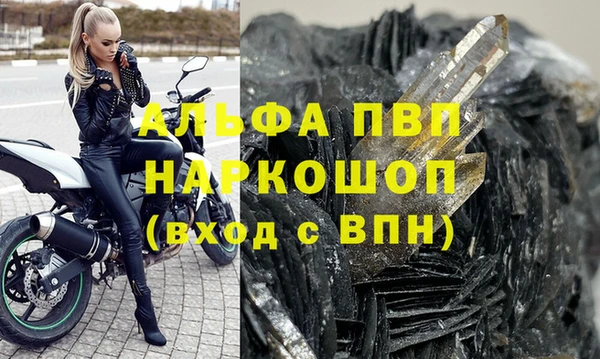 СК Абинск