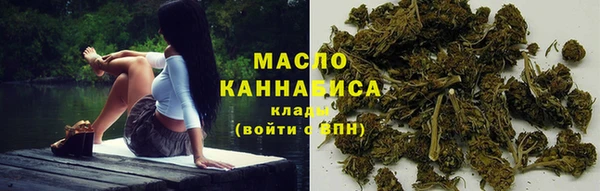 стаф Козловка