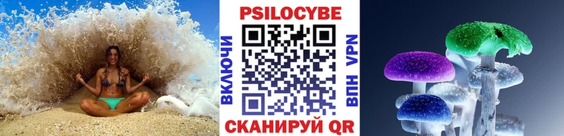 наркошоп  Тбилисская  Галлюциногенные грибы Psilocybe 